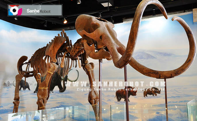 已灭绝的远古生物 猛犸象 仿真化石定制