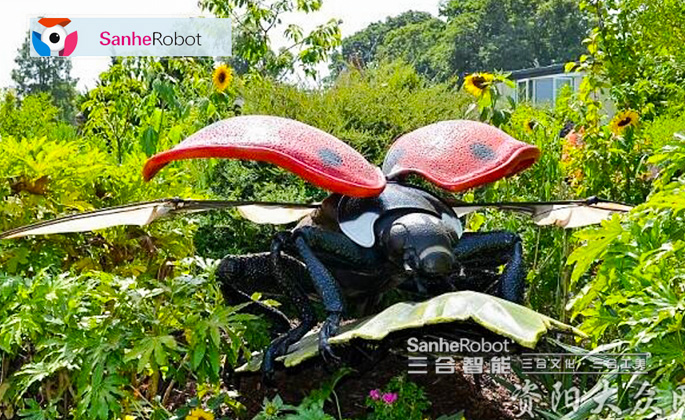 科普小知识丨送给小朋友的昆虫百科图鉴