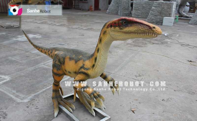 How old does the simulated dinosaur usually need to be disassembled and transported